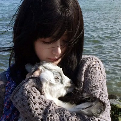 丛林敢死队